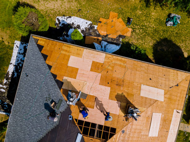 Best Residential Roofing Contractor  in Le Center, MN