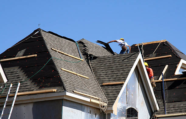 Best Gutter Installation and Roofing  in Le Center, MN