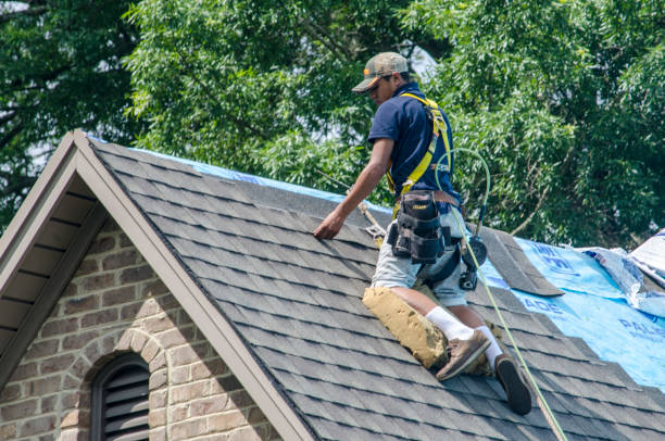 Best Storm Damage Roof Repair  in Le Center, MN